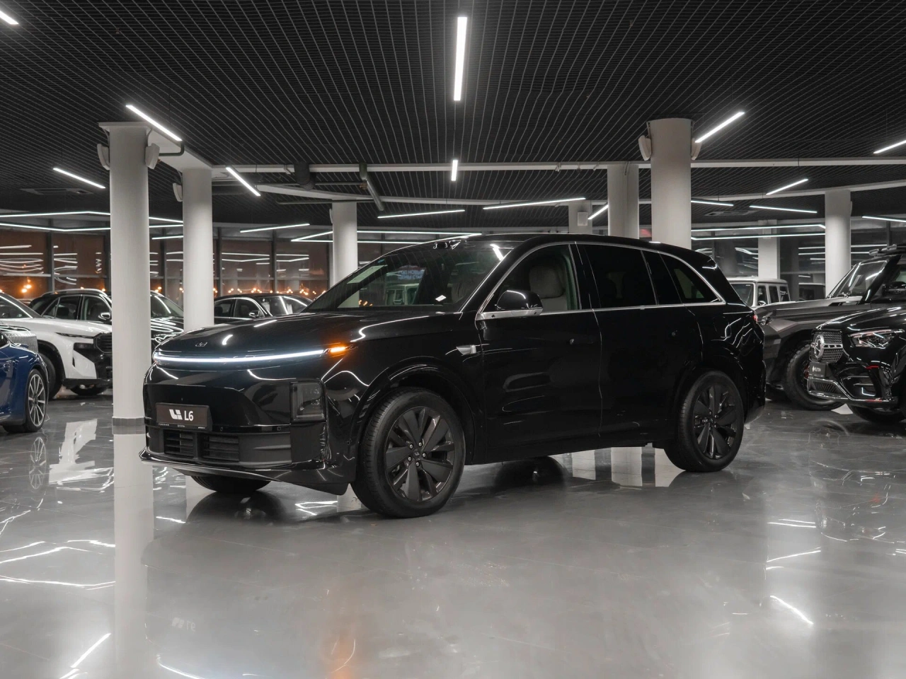 Li Auto (Lixiang) L6